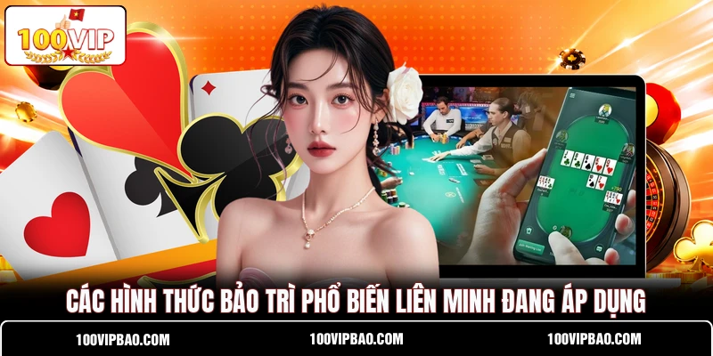 Các hình thức bảo trì phổ biến liên minh đang áp dụng Các hình thức bảo trì phổ biến liên minh đang áp dụng