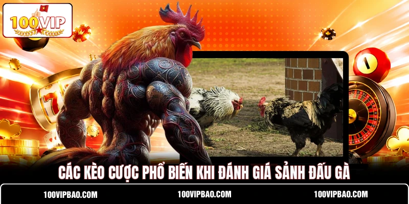 Các kèo cược phổ biến khi đánh giá sảnh đấu gà