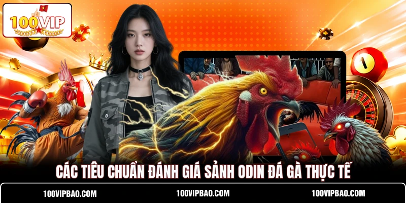 Các tiêu chuẩn đánh giá sảnh Odin Đá Gà thực tế