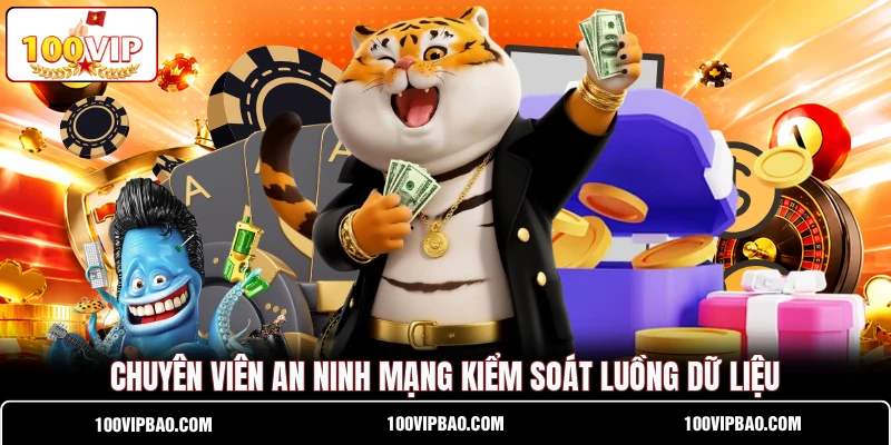 Chuyên viên an ninh mạng kiểm soát luồng dữ liệu