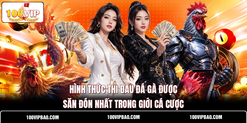 Hình thức thi đấu đá gà được săn đón nhất trong giới cá cược