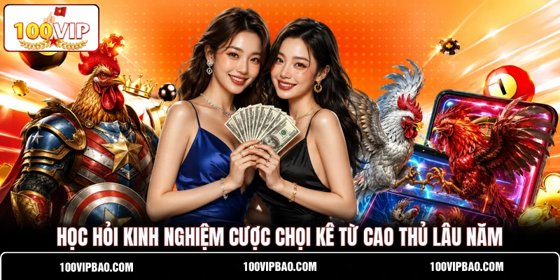 Học hỏi kinh nghiệm cược chọi kê từ cao thủ lâu năm