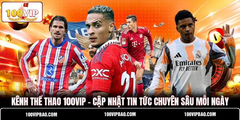 Kênh Thể Thao 100VIP - Cập Nhật Tin Tức Chuyên Sâu Mỗi Ngày
