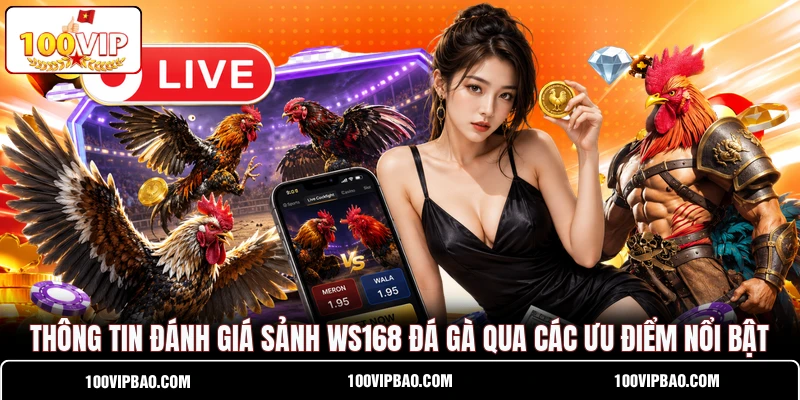 Thông tin đánh giá sảnh WS168 Đá Gà qua các ưu điểm nổi bật
