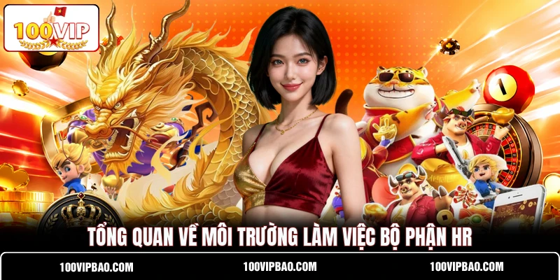 Tổng quan về môi trường làm việc bộ phận HR